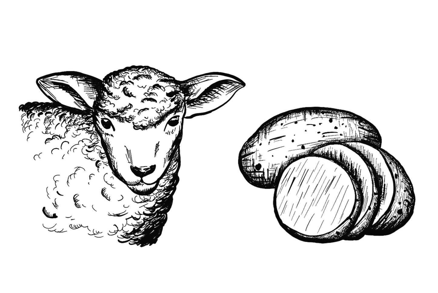 6x Dosenfutter® LAMM & KARTOFFEL