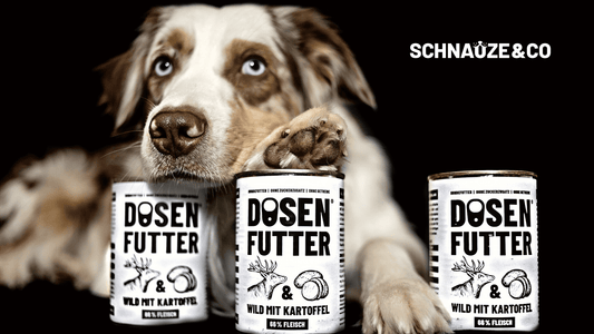 Machen Sie Ihren Hund glücklich – mit unserem Nassfutter