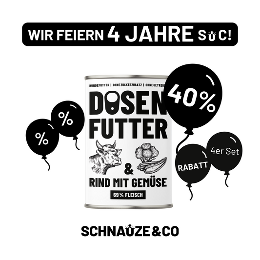 4-JAHRES-AKTION 24x Dosenfutter RIND UND GEMÜSE 400 g