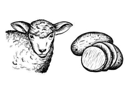 6x Dosenfutter® LAMM & KARTOFFEL