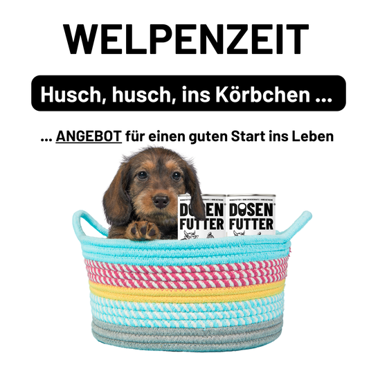Welpen-Aktion Dosenfutter® Junior RIND MIT GEFLÜGEL 400 g