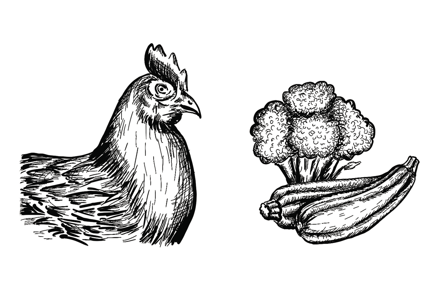11015 - Dosenfutter® HUHN & GEMÜSE 6x400g