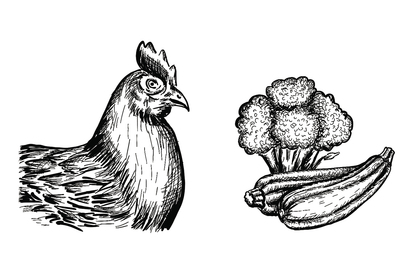 11015 - Dosenfutter® HUHN & GEMÜSE 6x400g